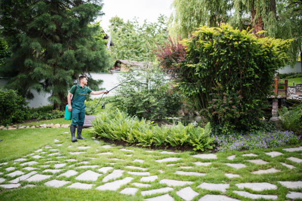 Best Pest Removal Services  in Nelsonville, OH