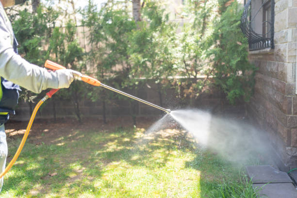 Best Bird Control  in Nelsonville, OH
