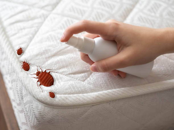 Best Emergency Pest Control  in Nelsonville, OH