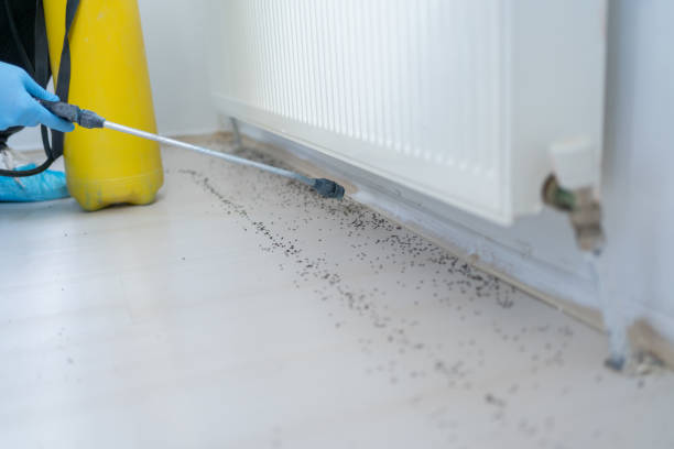 Best Cockroach Control Services  in Nelsonville, OH